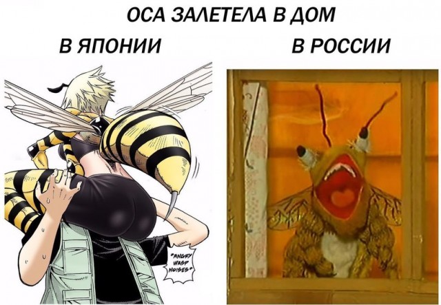Весёлый полтишок 5.08.21