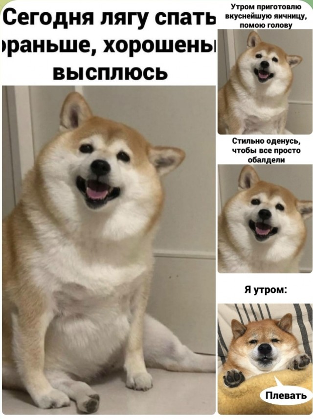 Картинки и мемы для настроения 30.09.2021