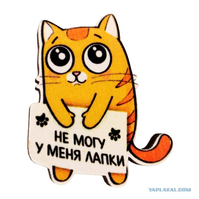 За что в России не любят Москву и москвичей?