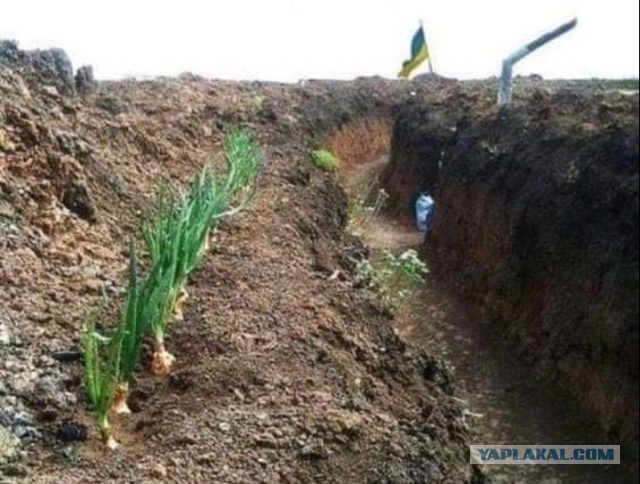 Основные задачи первого этапа спецоперации выполнены, заявил Генштаб