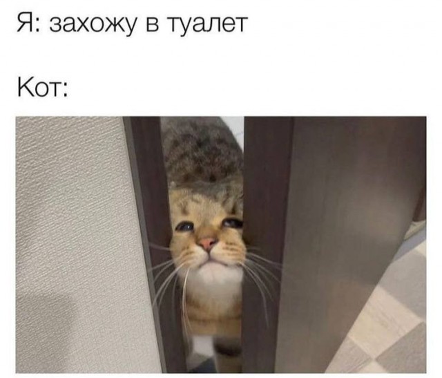 Картинки аморальные и всякие разные - 27