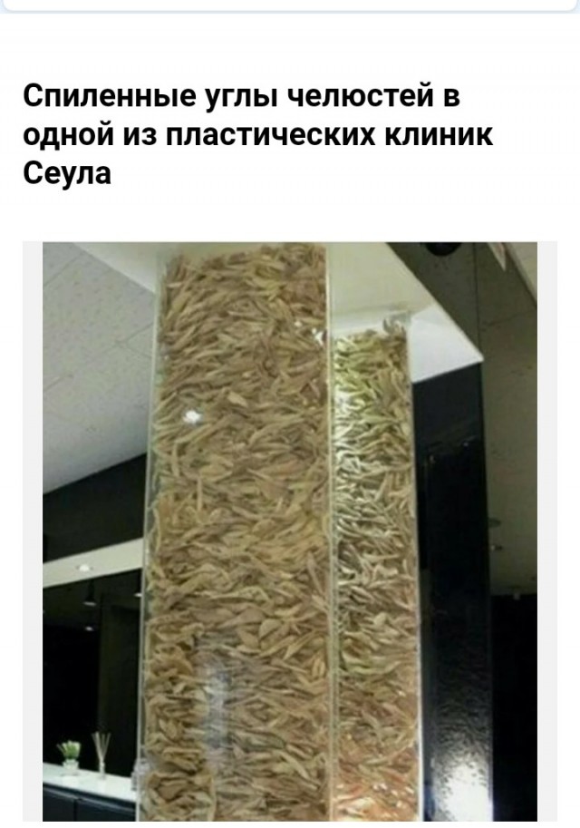 ЯПовчане, зацените корейскую девицу