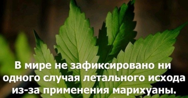 Прикольные и просто красивые картинки 15.07.2022