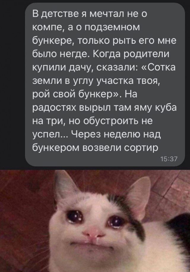 Скриншоты и комментарии из социальных сетей 6.08.22