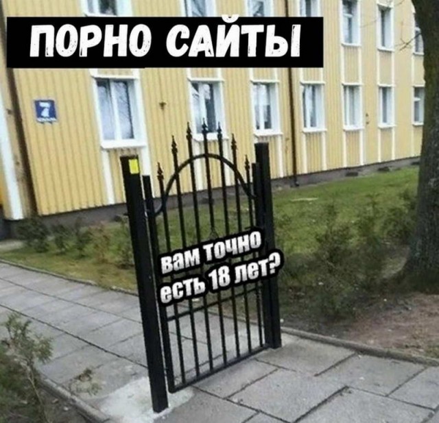Картинки и мемы для настроения - 21