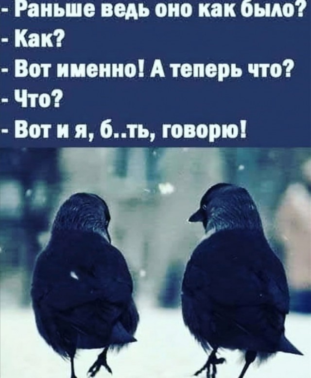 Так себе картинки 06.10.22