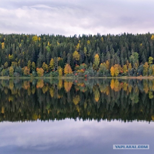 Поделимся красивыми фото с телефона?