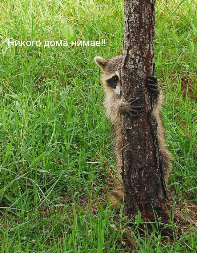 Странная женская натура. Вам для чего это надо?