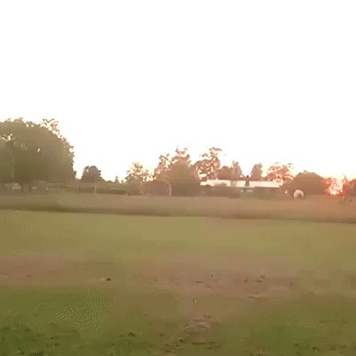 Юмор в картинках и без
