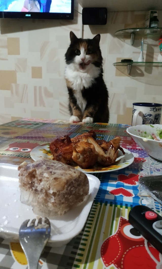 Жрешь?