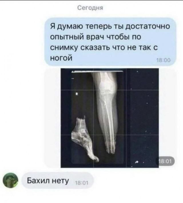 Картинки и мемы, всем хороших выходных