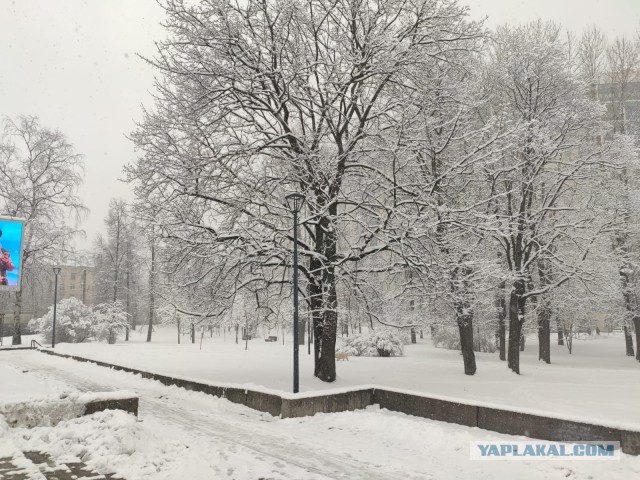 Утренняя шиза