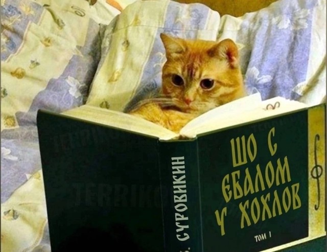 Древние укры оказывается были айнами.