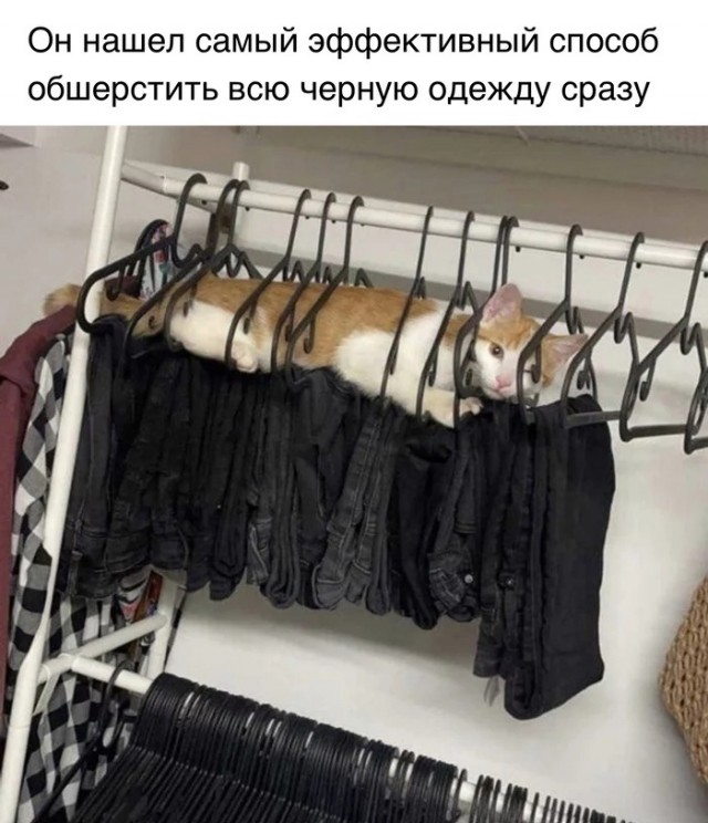 Так себе картинки 03.05.23