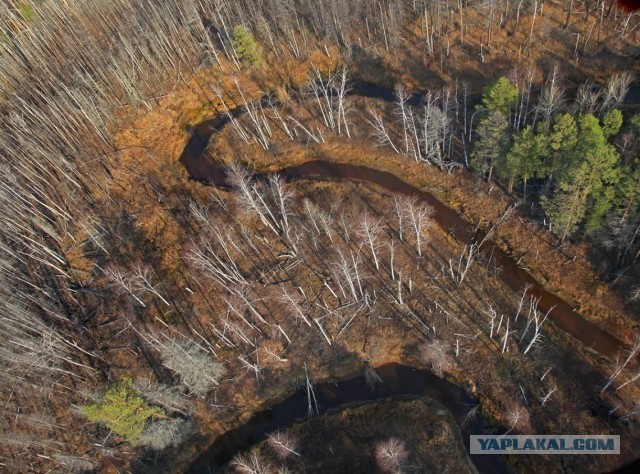 Сибирские перекрёстки