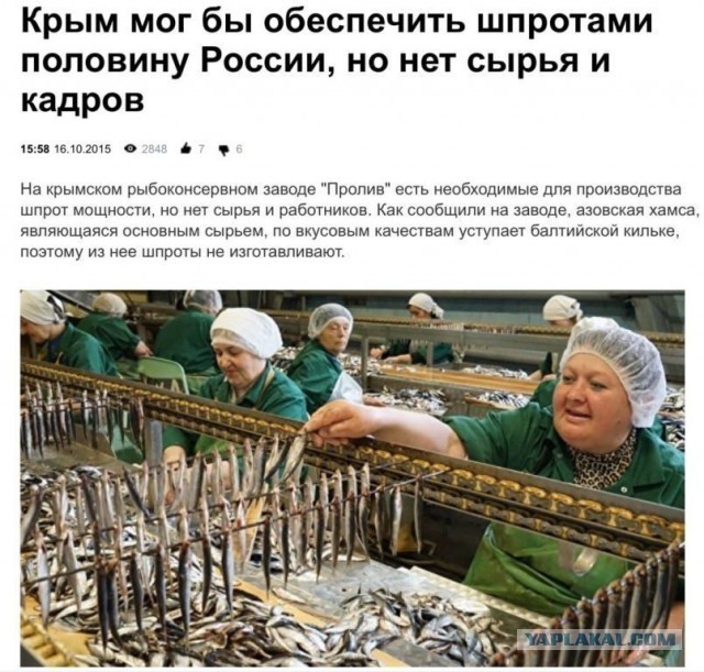 Су-34 разбился в Брянской области