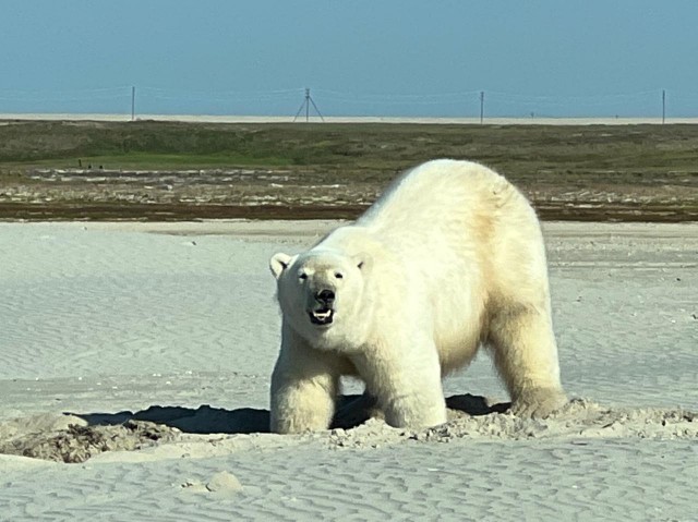 Советы от жадины, скряги и редкого жмота