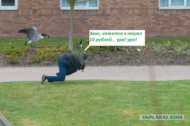 Это мой район, суки! Пошли все вон!