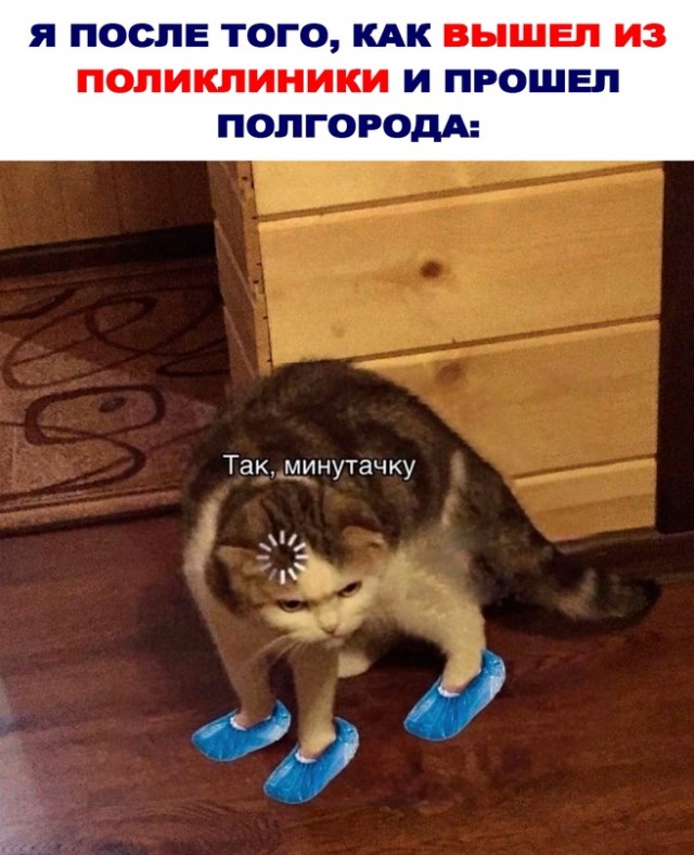Весёлый полтишок 01.11.23