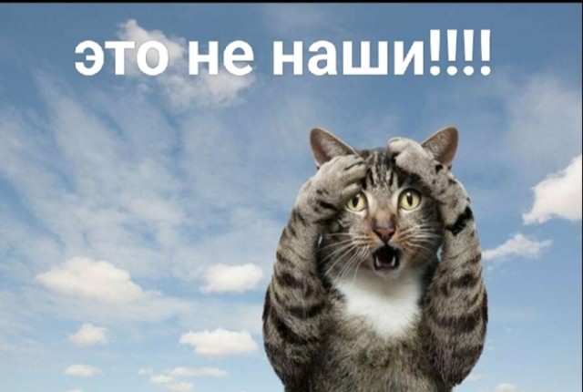 Женщина-кошка