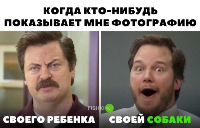 В Госдуме назвали мемы причиной детоненавистничества у молодёжи, которые «не видят проблемы в том, чтобы жить без детей»