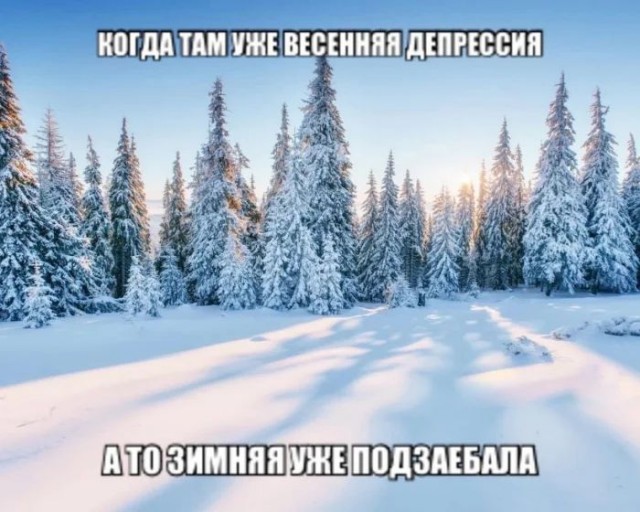 Приколы с налетом деградации