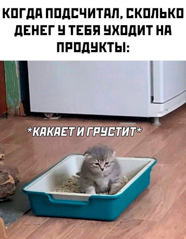 Так себе картинки 01.04.24
