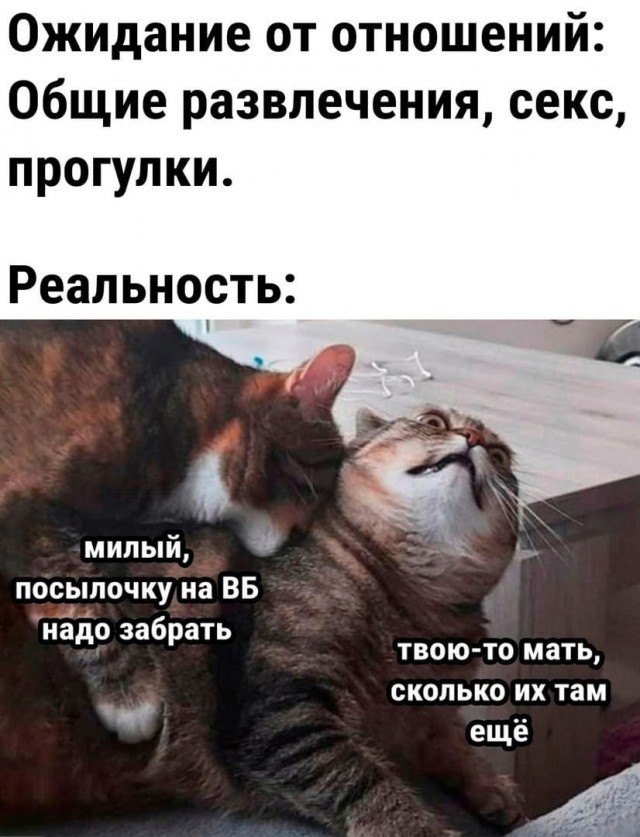 Всего понемногу. От 12.05.2024