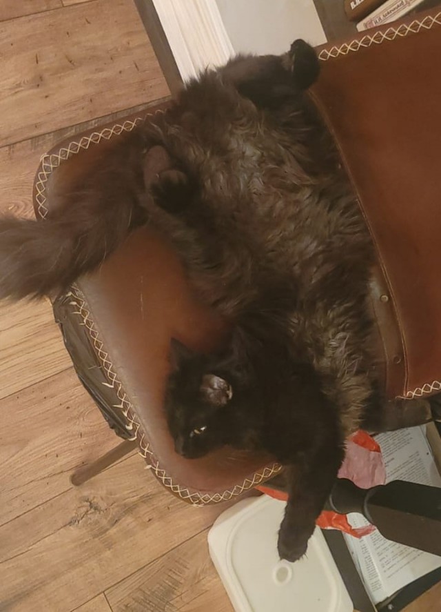 Коть, тебе нормально?