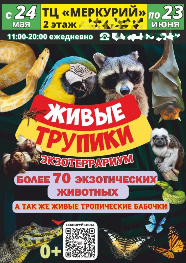 Тренируемся деградировать к летнему сезону!