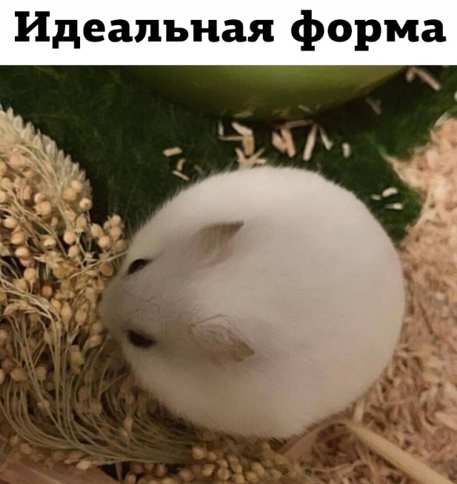 Так себе картинки 10.07.24