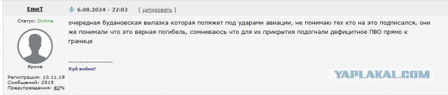 Численность группировок ВСУ, наступающих на Курскую область в зоне вторжения и вокруг нее может составлять  до 10 000 украинских солдат