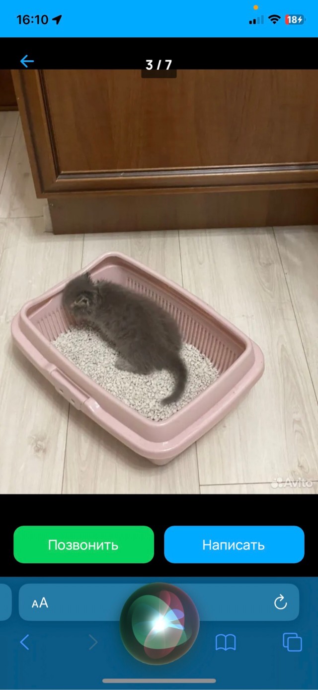Первый кусь!
