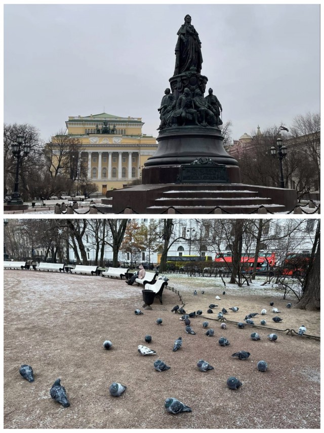 Санкт-Петербурга много не бывает!