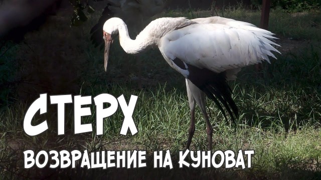 Правое дело