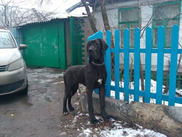 Ну ты ведь со мной поделишься, правда?