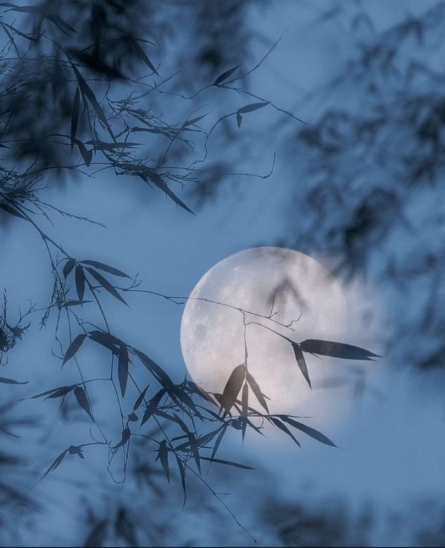 Литературная беседка v.1