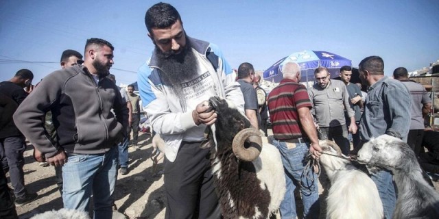 В Турции в первый день Курбан-байрама пострадали более 14 тысяч человек