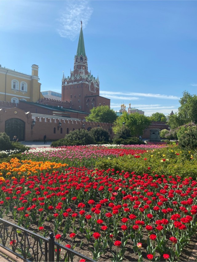 Трехдневный Кошмар Надвигается на Москву!МЧС бьет в набат: ваши выходные обречены!