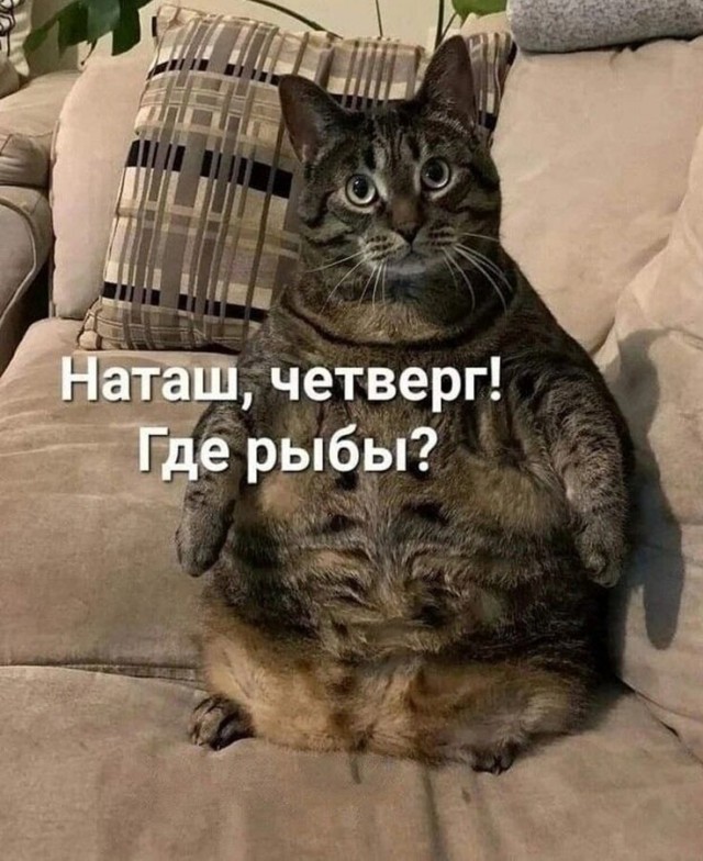 Всякая всячина