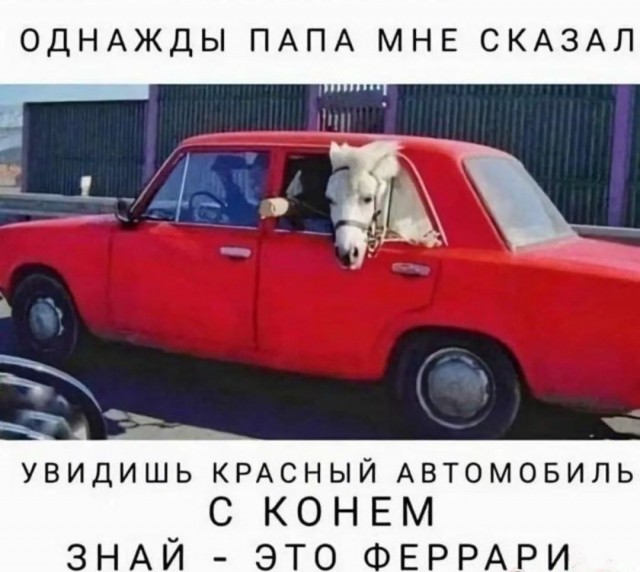 Веселое настроение в картинках 09.08.25