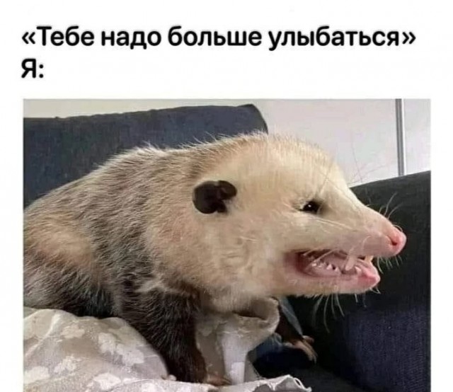 Картинки для деградации 33 (разной степени свежести)