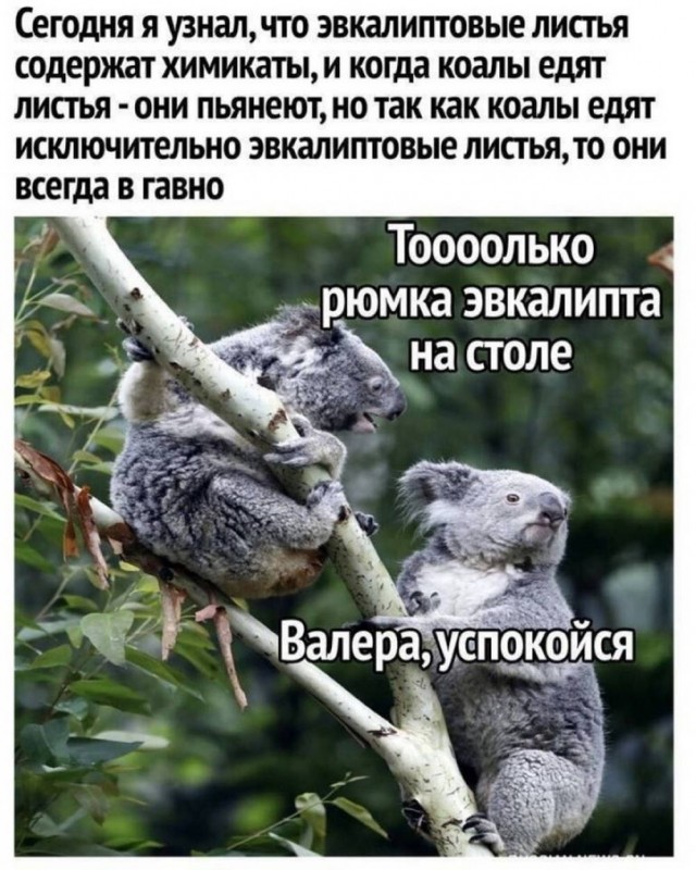 Картинки Понедельника