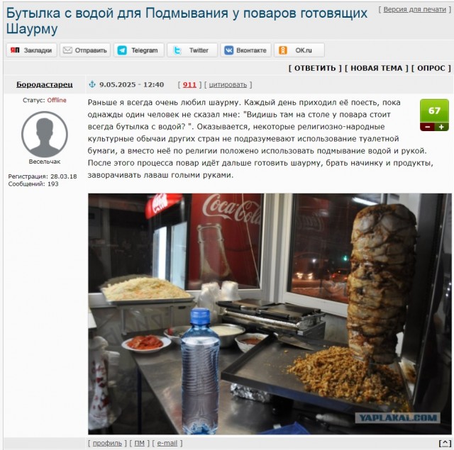 Сегодня отмечается Международный день шавермы