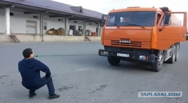 Зубной фей