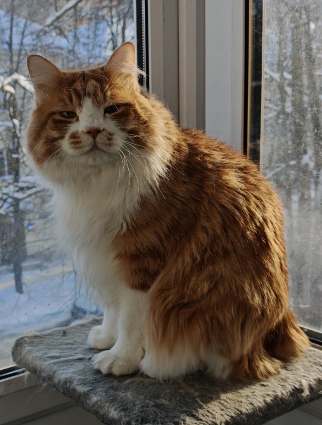 Беспредел