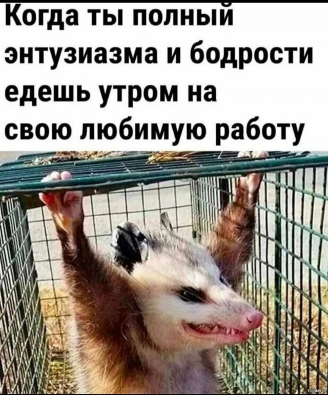 А как добираетесь на работу вы?