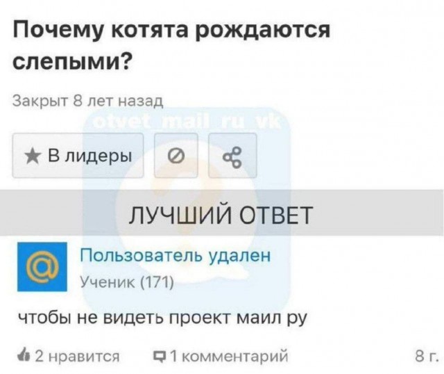 Среды картинки