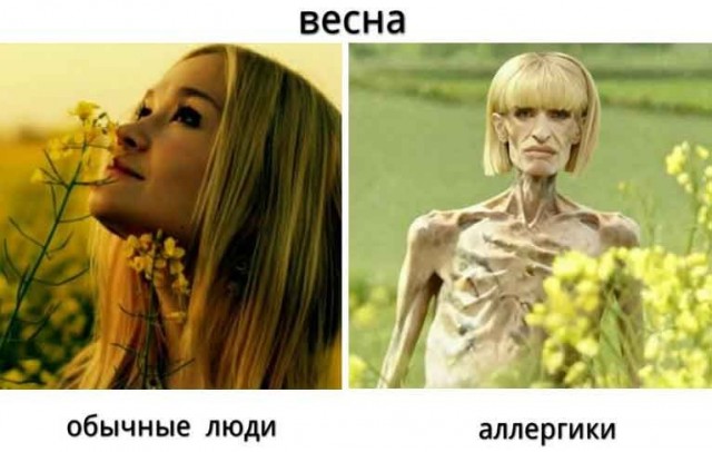 Весна в мемах