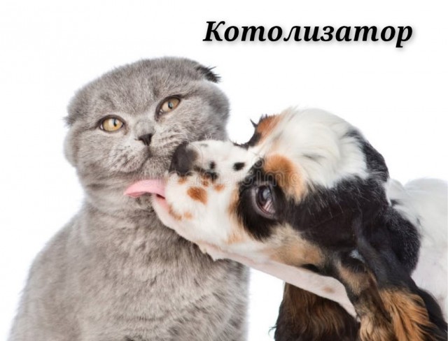 Субботние картинки